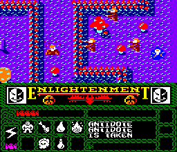 Screenshot of Enlightenment: Druid II